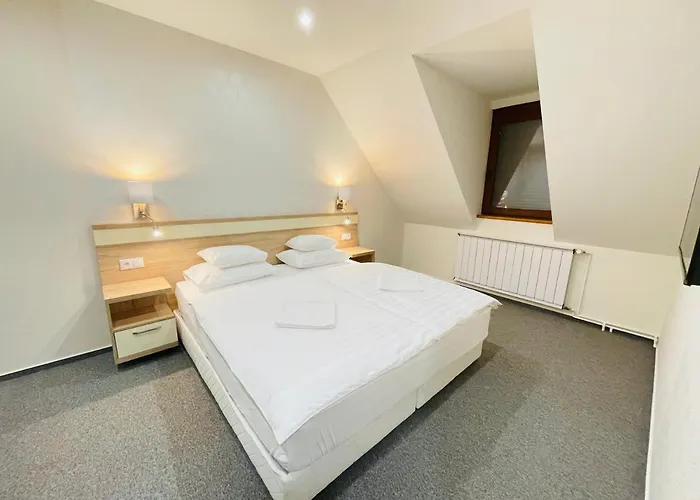 アパート Mikes Deluxe バラトンフレド