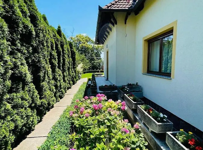 アパート Mikes Deluxe バラトンフレド