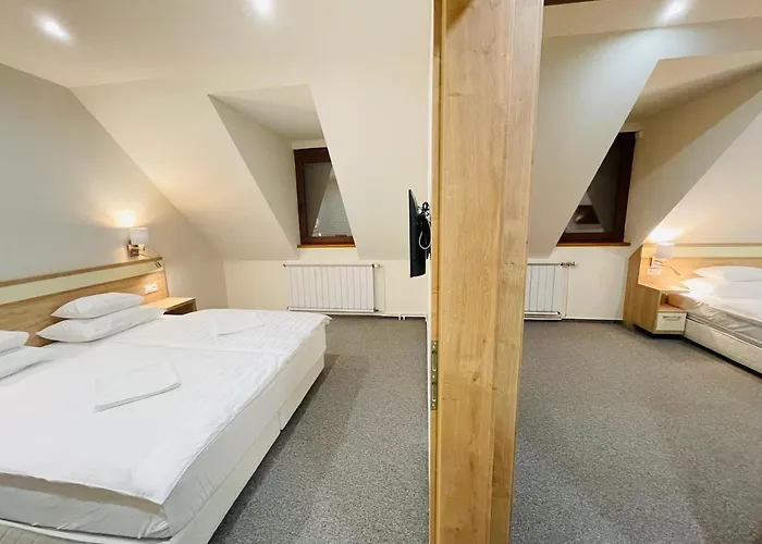 Mikes Deluxe アパート バラトンフレド