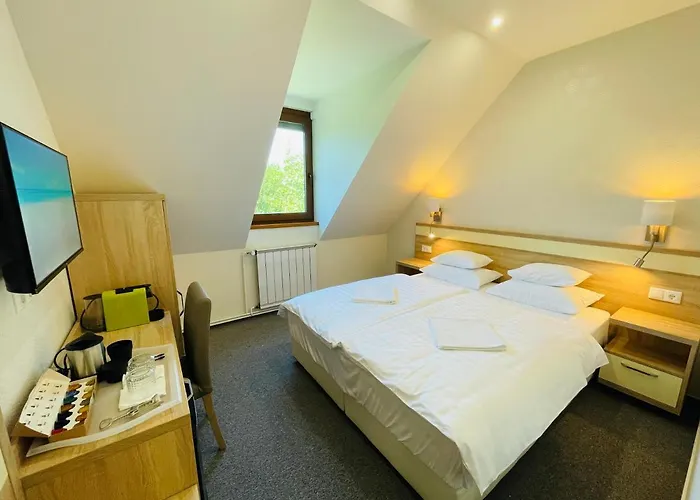 Mikes Deluxe バラトンフレド